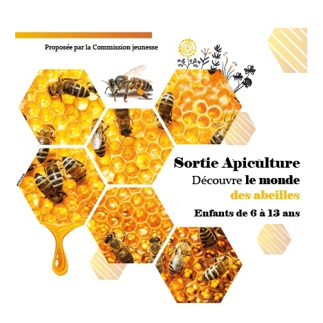 SORTIE APICULTURE 6 à 13 ANS