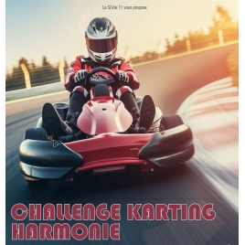 SLVIE 11 Challenge karting Harmonie