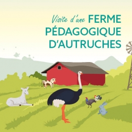 VISITE FERME PEDAGOGIQUE D'AUTRUCHES - commission des jeunes agents