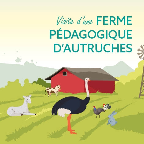 VISITE FERME PEDAGOGIQUE D'AUTRUCHES - commission des jeunes agents